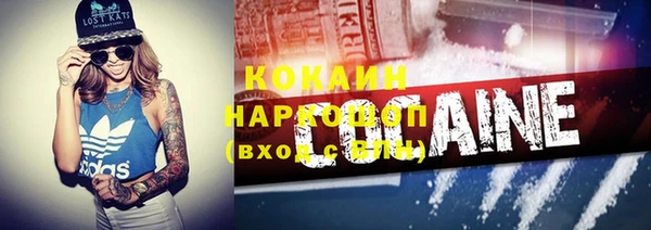 хмурый Бородино