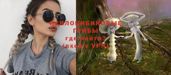 ALPHA PVP Богданович