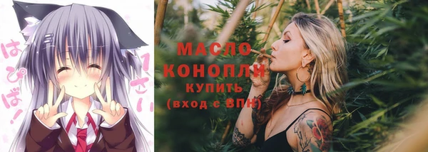 хмурый Бородино