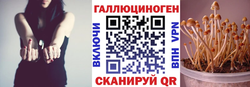 Псилоцибиновые грибы MAGIC MUSHROOMS  наркота  гидра зеркало  Ярославль 