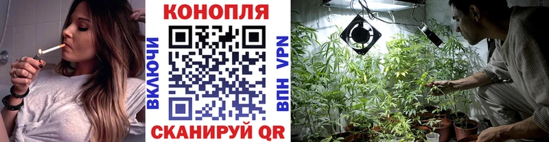 Бошки Шишки VHQ  Ярославль 